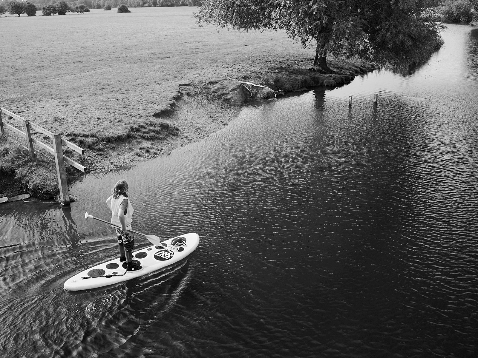 Where  are they - Harold Mousley